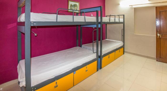 Stephels Hostel ジャイプール エクステリア 写真
